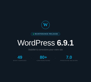 WordPress 6.9.1 – Nouveaux correctifs de maintenance